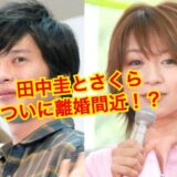 田中圭の嫁