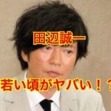 田辺誠一の若い頃