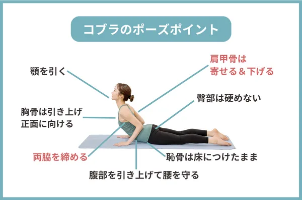 ヨガコブラのポーズ