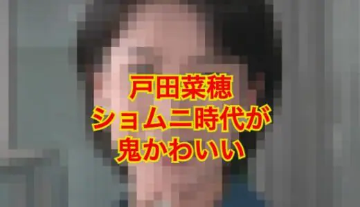 【顔画像】戸田菜穂のショムニ時代が鬼カワイイ！現在も美貌は変わらない！？